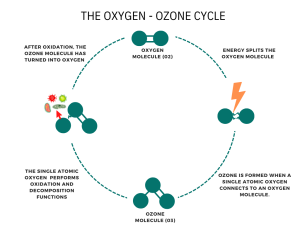 oxygen - ozone cycle